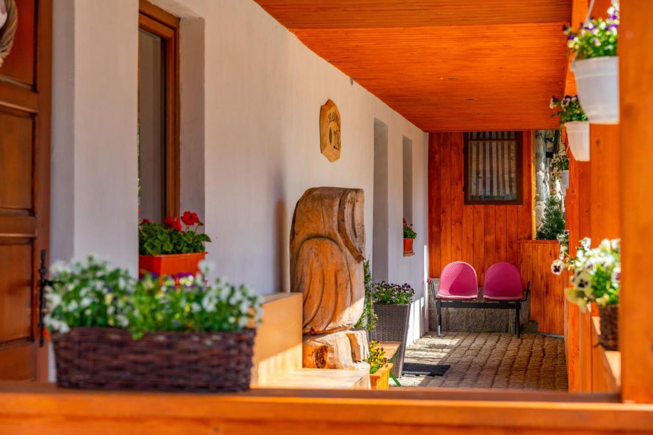 Apartament Lesny Zakopane Exterior foto